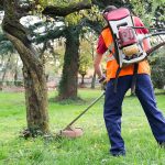 Whistler Personnel