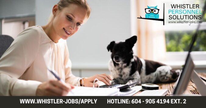 accountant
