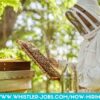 Ensure Hive Future
